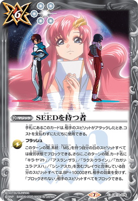 CB13-076 SEEDを持つ者